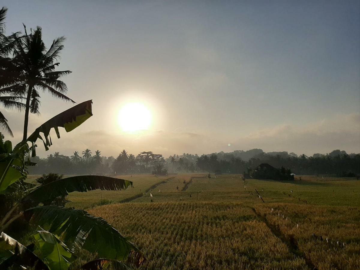 The Satya Villa Ubud Dış mekan fotoğraf